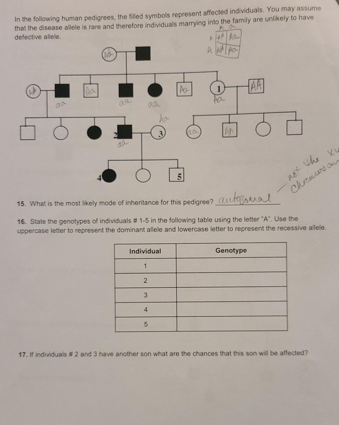 In A Pedigree What Does A Half Shaded Circle Represent