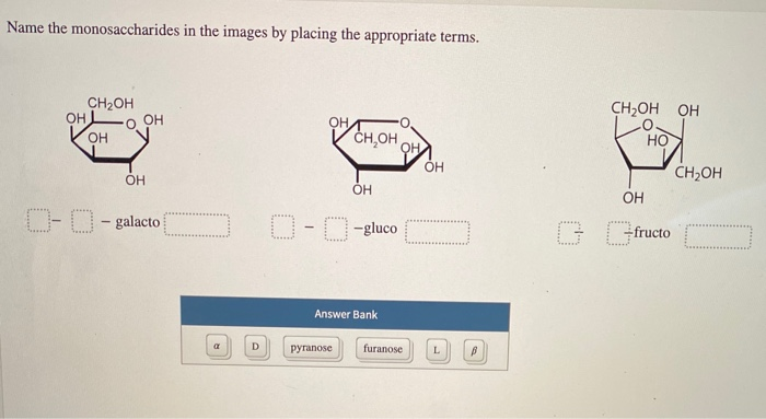 Solved Name The Monosaccharides In The Images By Placing The | Chegg.com