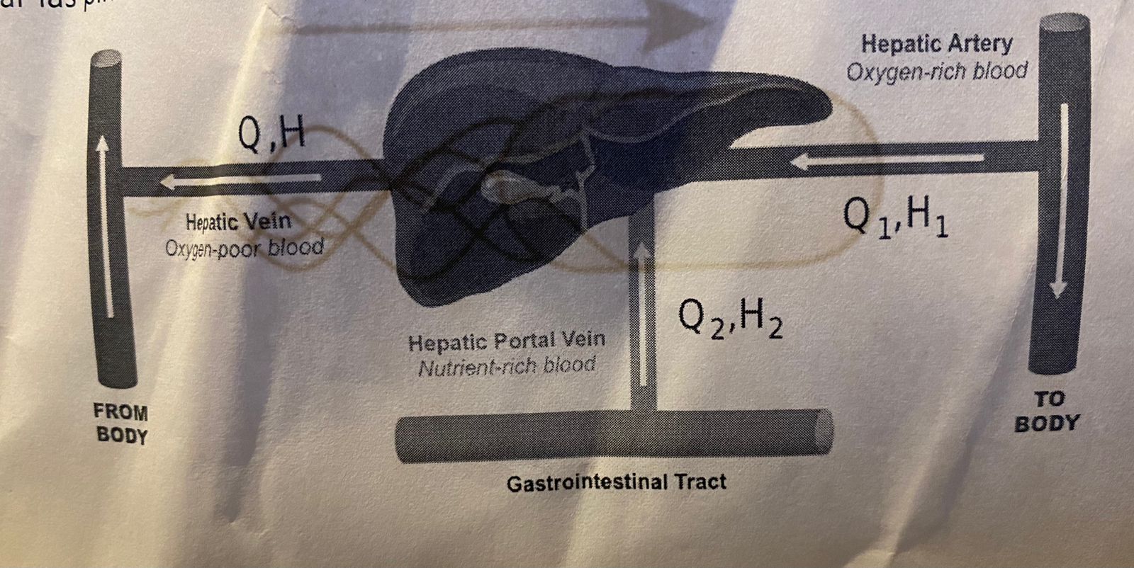 student submitted image, transcription available