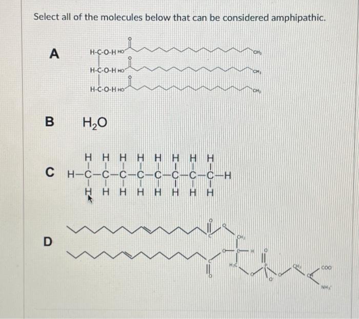 Solved Select all of the molecules below that can be | Chegg.com