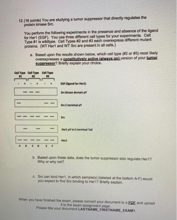 Solved please answer these questions with as much as detail | Chegg.com