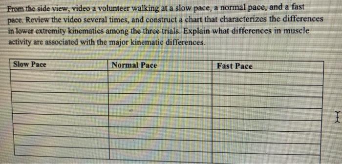 Solved From the side view, video a volunteer walking at a | Chegg.com