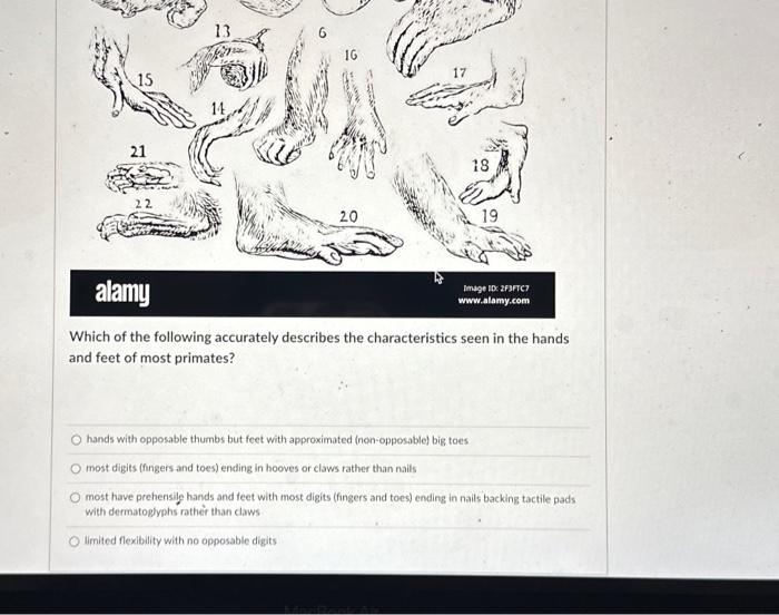 Which of the following accurately describes the | Chegg.com
