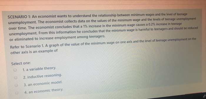 Solved SCENARIO 1: An economist wants to understand the | Chegg.com