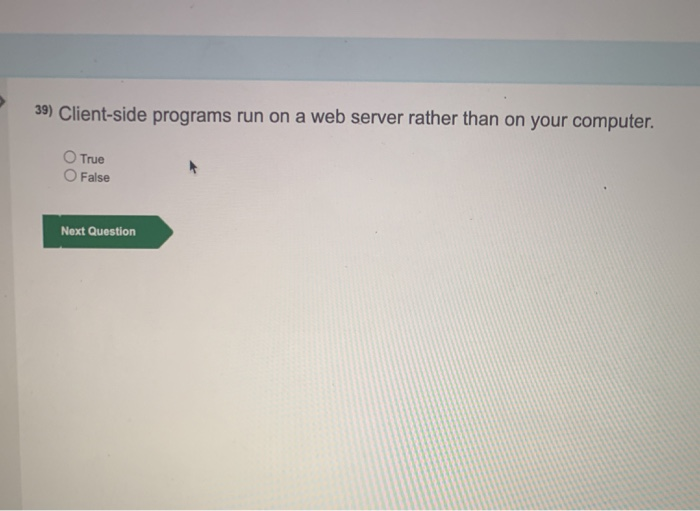 Solved 39) Client-side programs run on a web server rather | Chegg.com