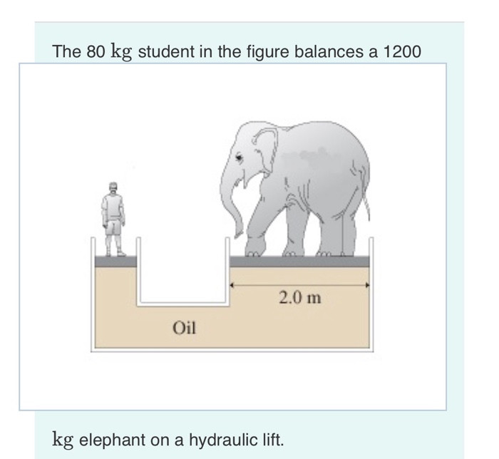 Solved The 80 kg student in the figure balances a 1200 2.0 m | Chegg.com