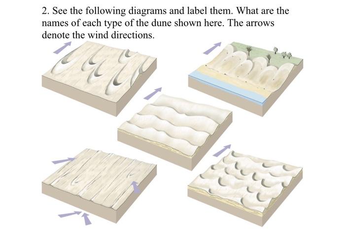 Solved 2. See The Following Diagrams And Label Them. What 