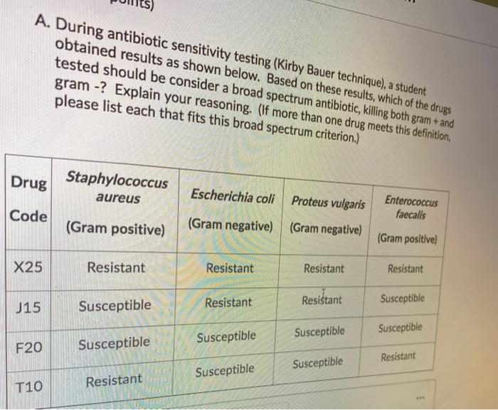 Solved A. During antibiotic sensitivity testing (Kirby Bauer | Chegg.com