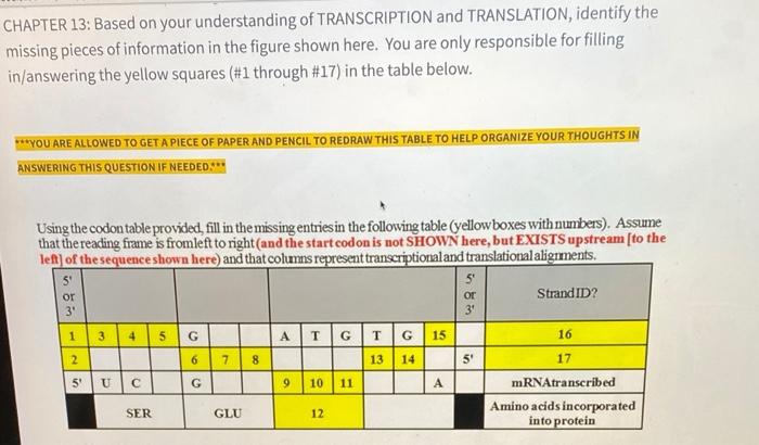 Solved CHAPTER 13: Based on your understanding of | Chegg.com