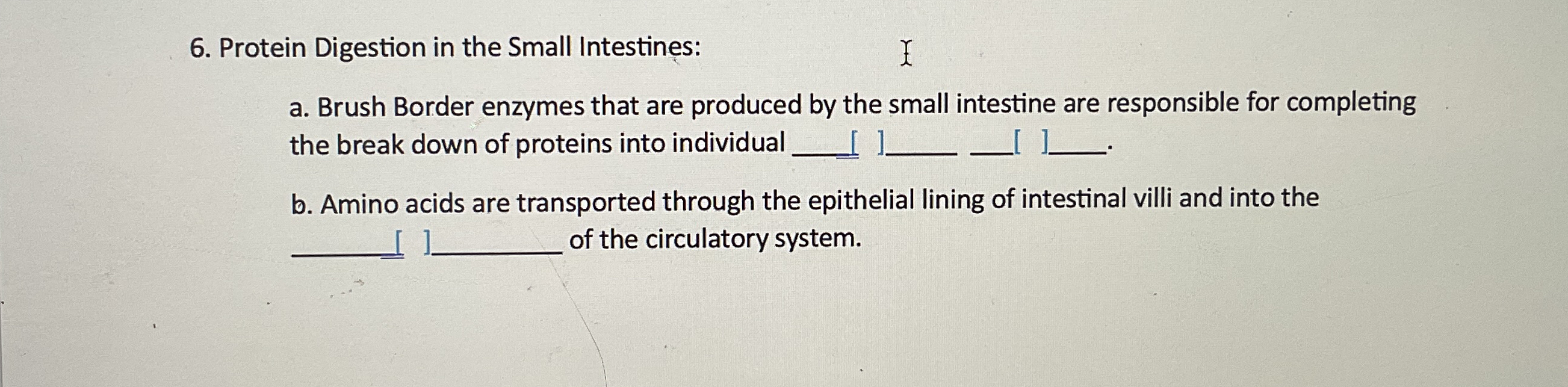 Solved Protein Digestion in the Small Intestinesa. ﻿Brush