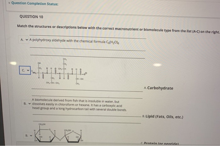 Solved Question Completion Status: QUESTION 10 Match the | Chegg.com