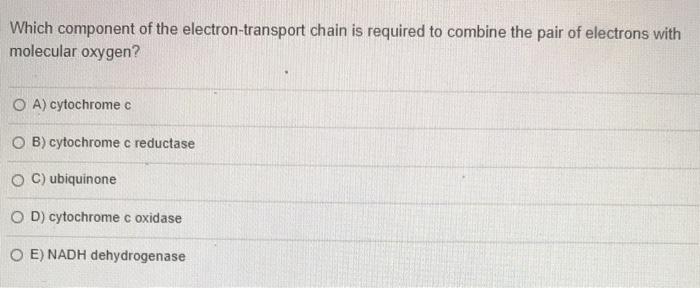 Solved Which component of the electron-transport chain is | Chegg.com