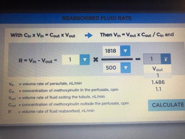 Solved REABSORBED FLUID RATE With Cin X Vin = Cout X Vout