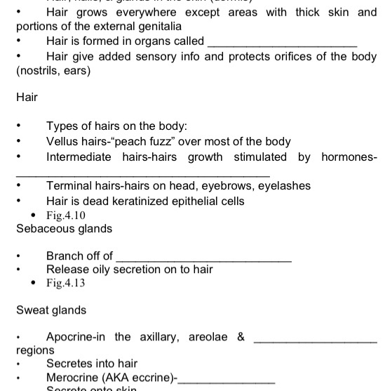 Hair Grows Everywhere Except Areas With Thick Sk Chegg Com