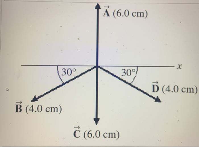 Solved Four Vectors A, B, C, And D, Are Shown In The Figure. | Chegg.com