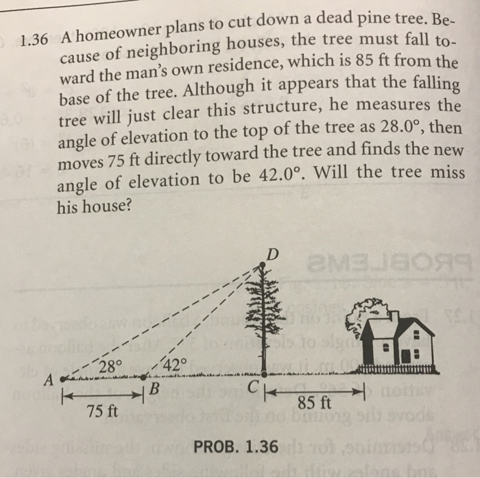 Solved 1.36 A homeowner plans to cut down a dead pine tree.