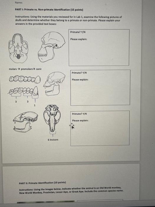 Name PART I Primate vs. Nonprimate Identification
