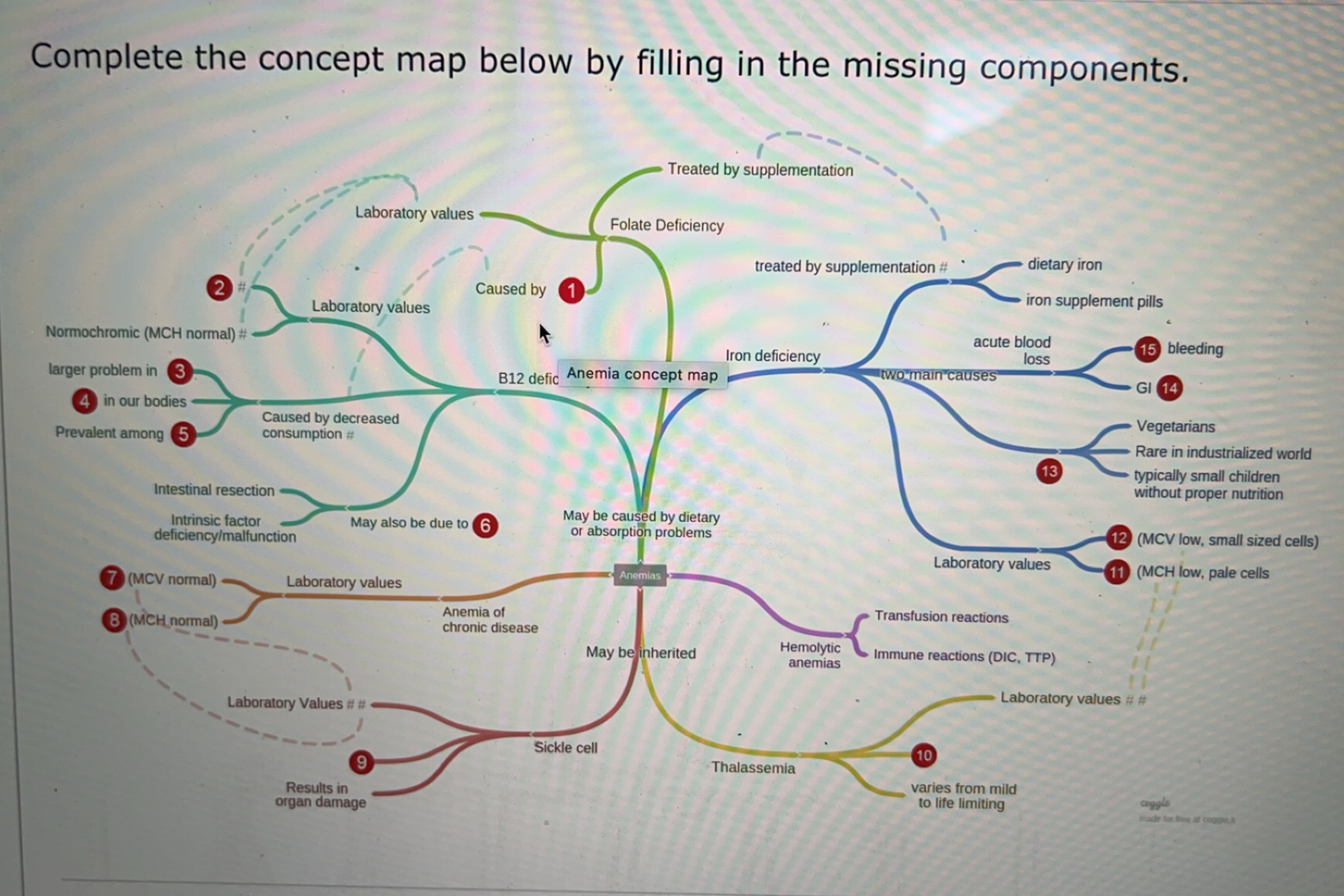 Solved Complete the concept map below by filling in the | Chegg.com