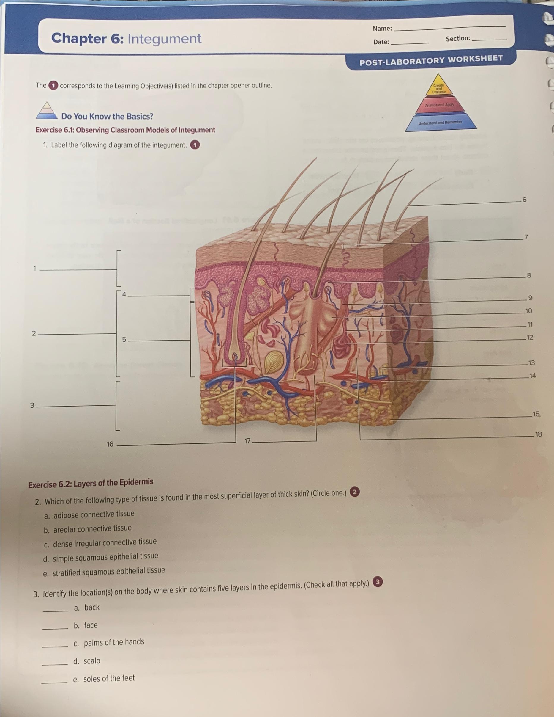 Solved Chapter 6: | Chegg.com