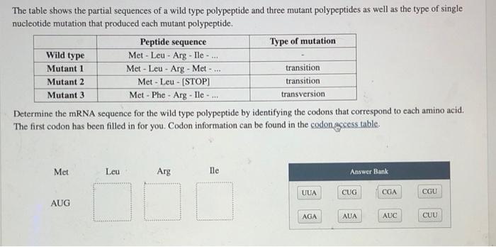 Solved Wild type The table shows the partial sequences of a | Chegg.com