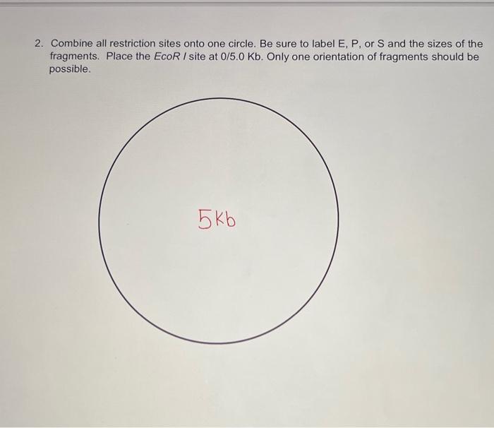 Solved Below Is A Table Giving The Results Of Restriction | Chegg.com