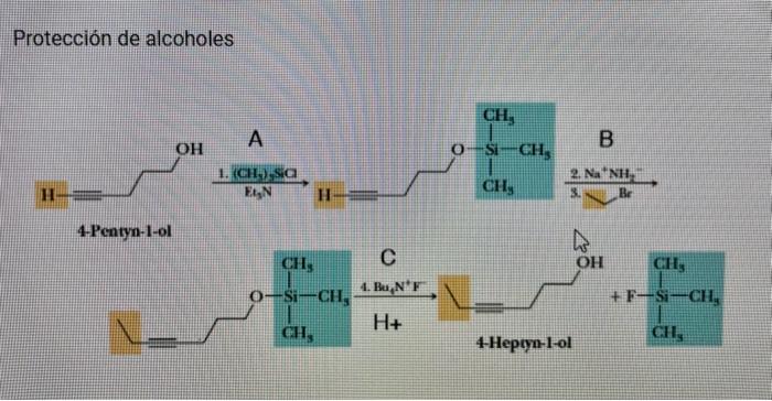 Solved Protección de alcoholes | Chegg.com
