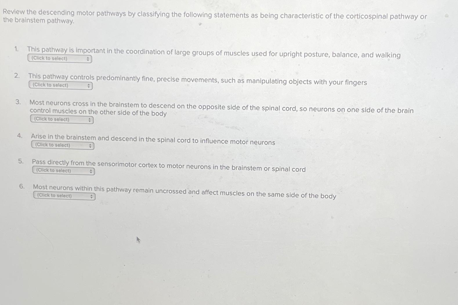 Solved Review the descending motor pathways by classifying Biology Diagrams