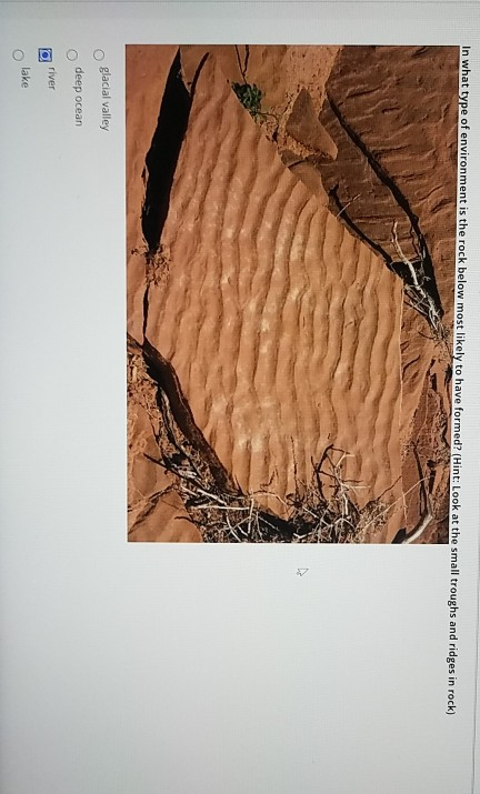 Solved In what type of environment is the rock below most | Chegg.com
