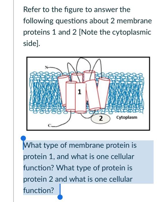 Solved Refer to the figure to answer the following questions | Chegg.com