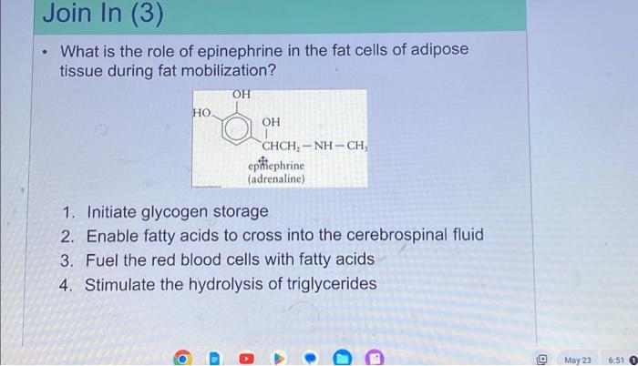 What is the role of epinephrine in the fat cells of adipose tissue during fat mobilization?
1. Initiate glycogen storage
2. E
