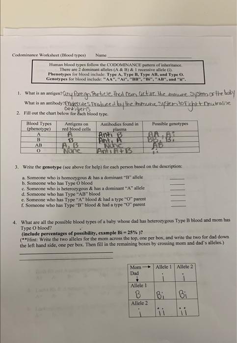 Solved Codominance Worksheet (Blood types) Name Human blood | Chegg.com