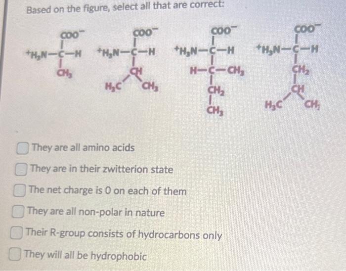 Based on the figure, select all that are correct:
They are all amino acids
They are in their zwitterion state
The net charge