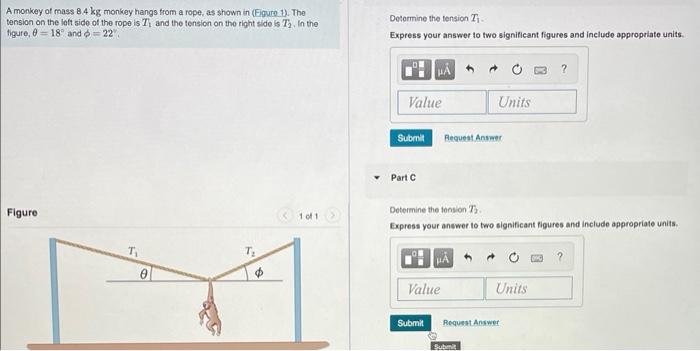 A monkey of mass \( 8.4 \mathrm{~kg} \) monkey hangs from a rope, as shown in (Eigure 1). The tension on the laft side of the