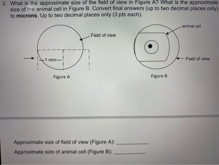 Solved 3. What is the approximate size of the field of view | Chegg.com