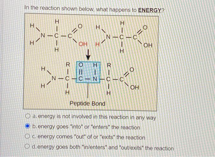 Solved QUESTION 5 A B VS Determine What Type Of Chemical | Chegg.com