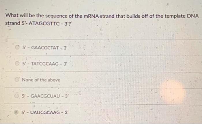 Solved What will be the sequence of the mRNA strand that | Chegg.com