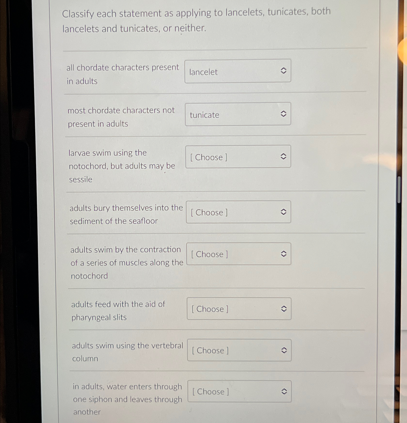 Solved Classify each statement as applying to lancelets, | Chegg.com