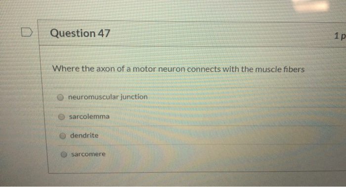 Solved Question 47 1 p Where the axon of a motor neuron | Chegg.com