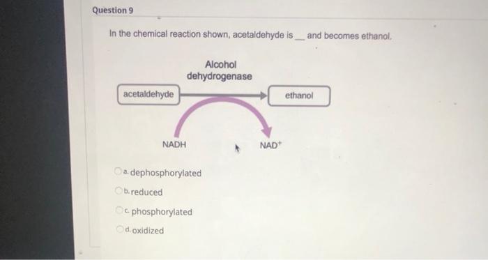 Question 9 In the chemical reaction shown, acetaldehyde is and becomes ethanol, Alcohol dehydrogenase acetaldehyde ethanol NA