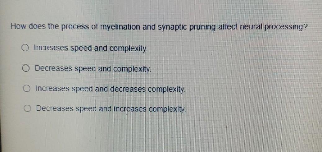 solved-how-does-the-process-of-myelination-and-synaptic-chegg