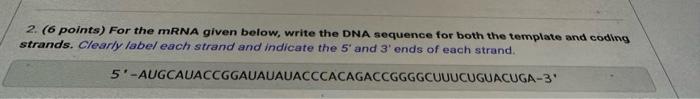 Solved 2. (6 points) For the mRNA given below, write the DNA | Chegg.com