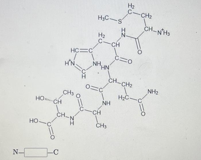Solved Consider the peptide structures shown and give the | Chegg.com