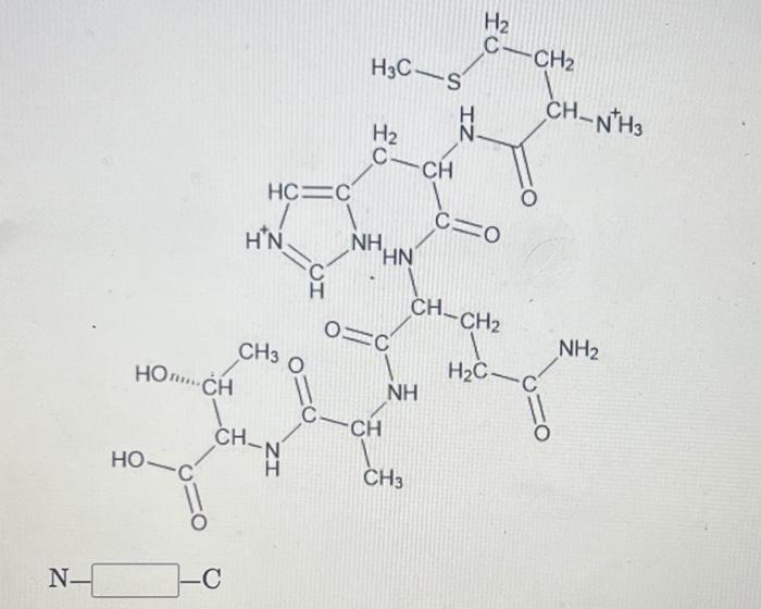 Solved Consider The Peptide Structures Shown And Give The Chegg Com