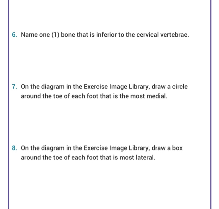 Solved EXERCISE 3 DIRECTIONAL TERMINOLOGY Work in a small