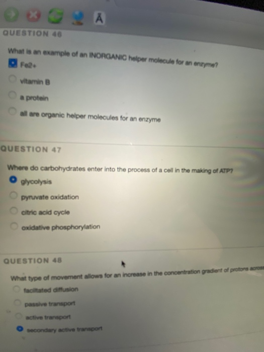Solved QUESTION 22 What is correct about the factors that | Chegg.com