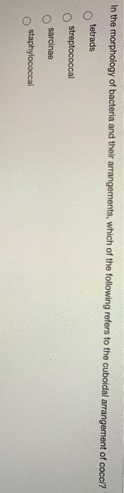 Solved In The Morphology Of Bacteria And Their Arrangemen Chegg Com