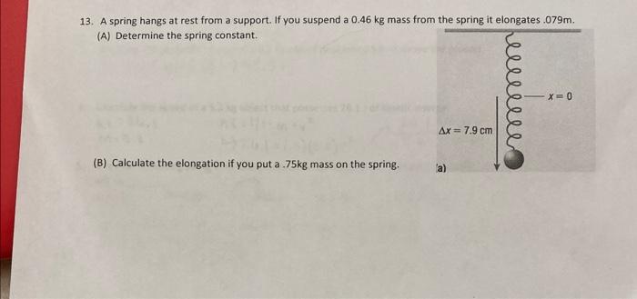Solved 13. A spring hangs at rest from a support. If you | Chegg.com