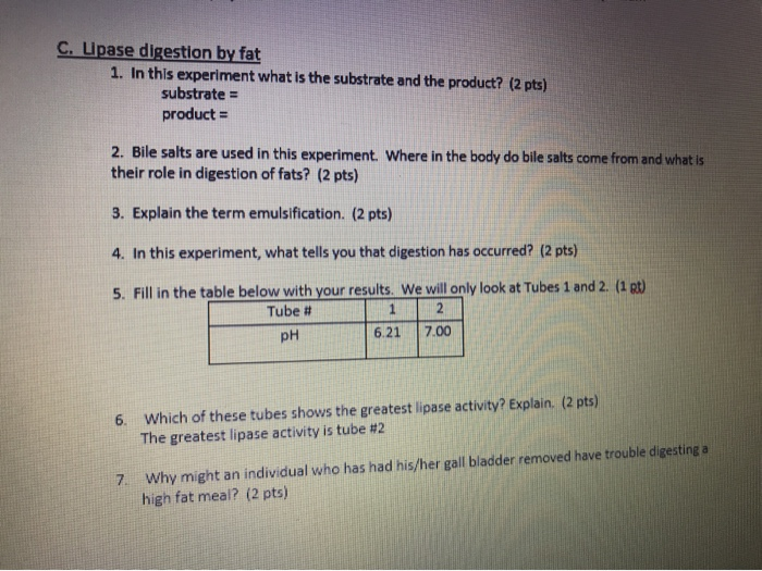 lipase digestion of fat experiment