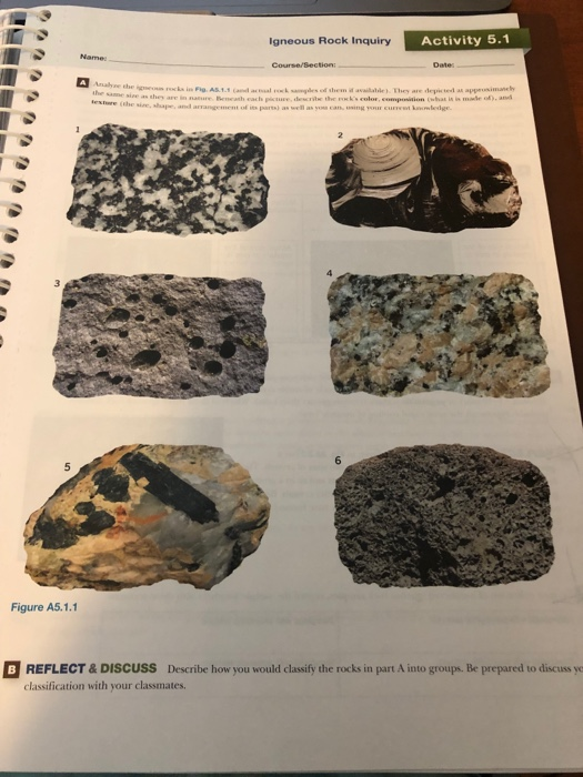 Solved Estimate the Percentage of Mafic Minerals Activity | Chegg.com