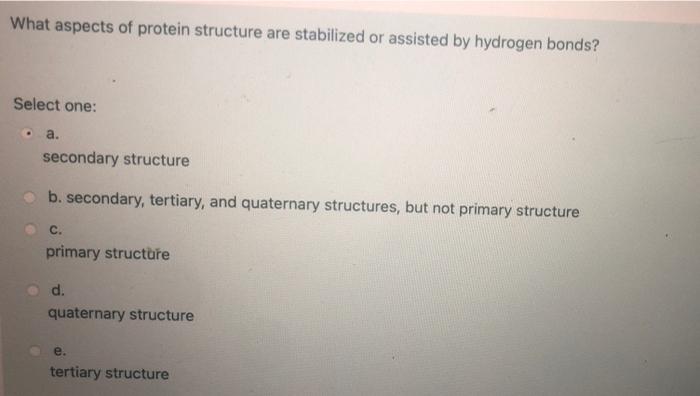 Solved What aspects of protein structure are stabilized or | Chegg.com